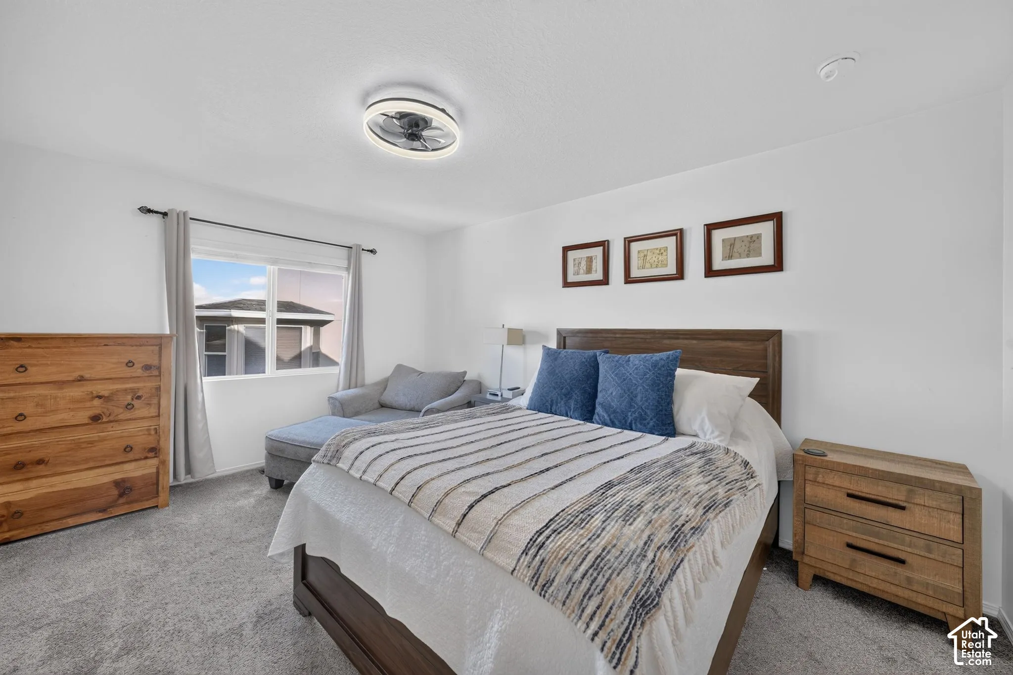 Plush carpeting, crisp white walls, single window with roller shade, and ceiling-mounted fan with integrated lighting