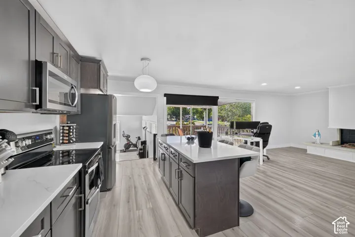Open concept living space featuring wood-finish flooring, a kitchen island with seating, dark shaker cabinetry, stainless steel appliances, and a built-in fireplace