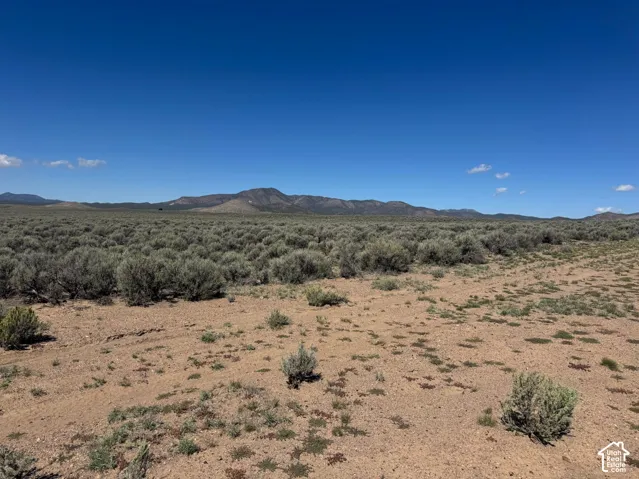 Expansive open terrain with natural vegetation and distant mountain ranges