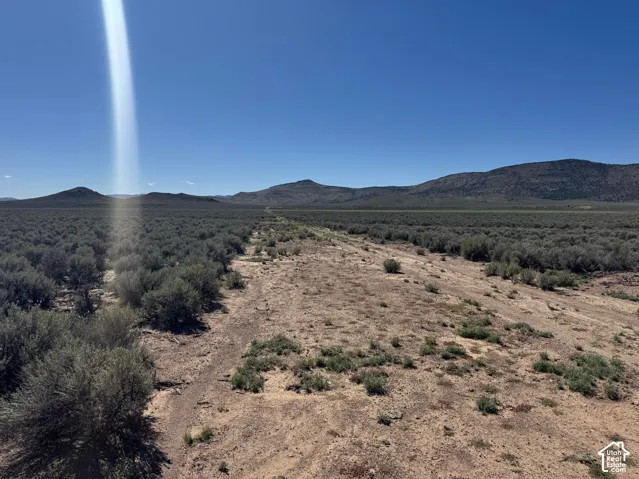 Expansive desert landscape with natural vegetation, distant mountains, and a clear sky