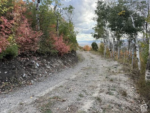 Driveway Entrance 1