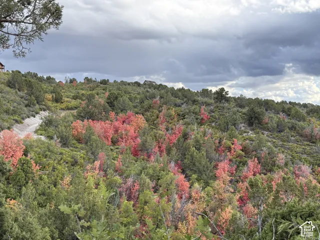 View of Lot 1 from the north, facing southeast