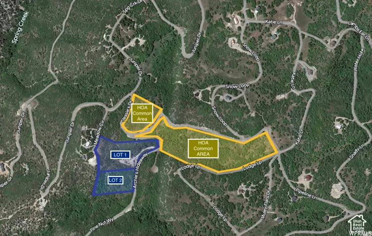 Yellow-HOA Open Space Blue-Lot#1 Top, Lot #2 Bottom