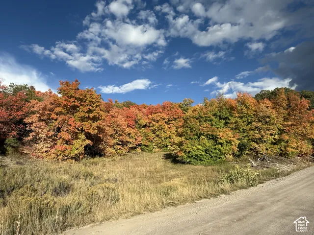 1 Archies Hidaway, Fairview, Utah 84629