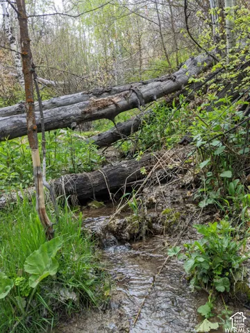 Natural stream on Lot #1