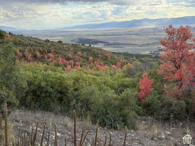 1 Archies Hidaway, Fairview, Utah 84629