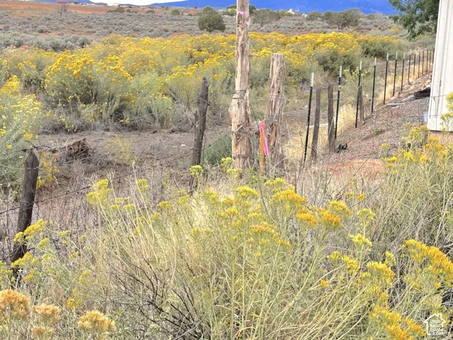 Survey stake NW corner