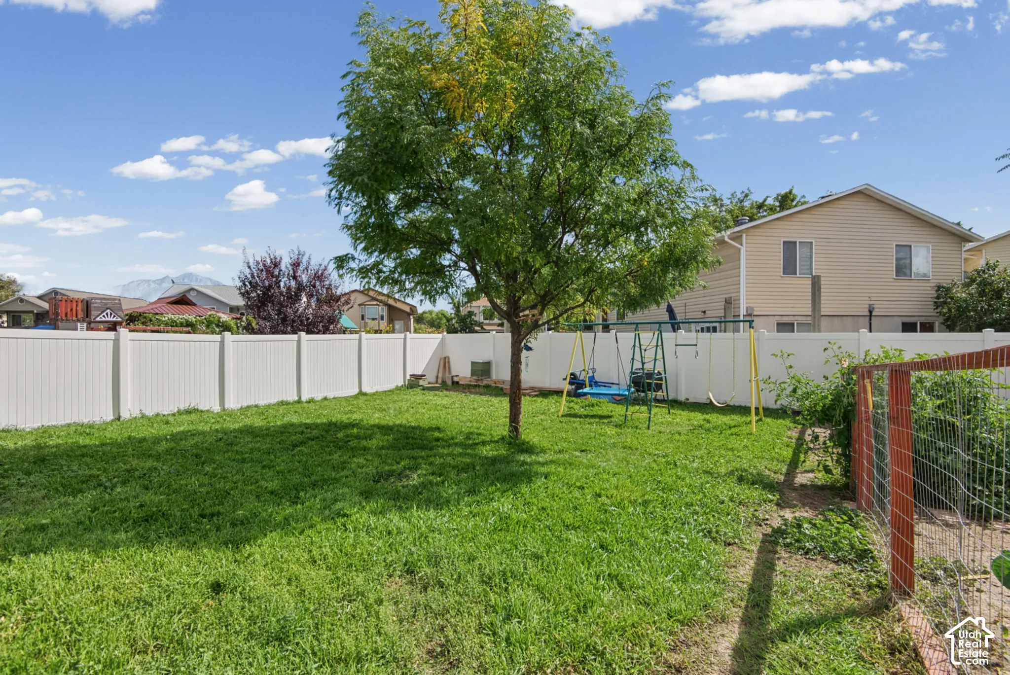 Expansive backyard featuring a manicured lawn, established tree, and full perimeter fencing