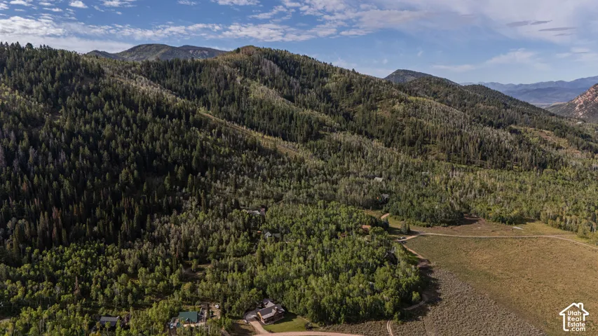 Mountainous terrain with dense forest coverage and scattered residences
