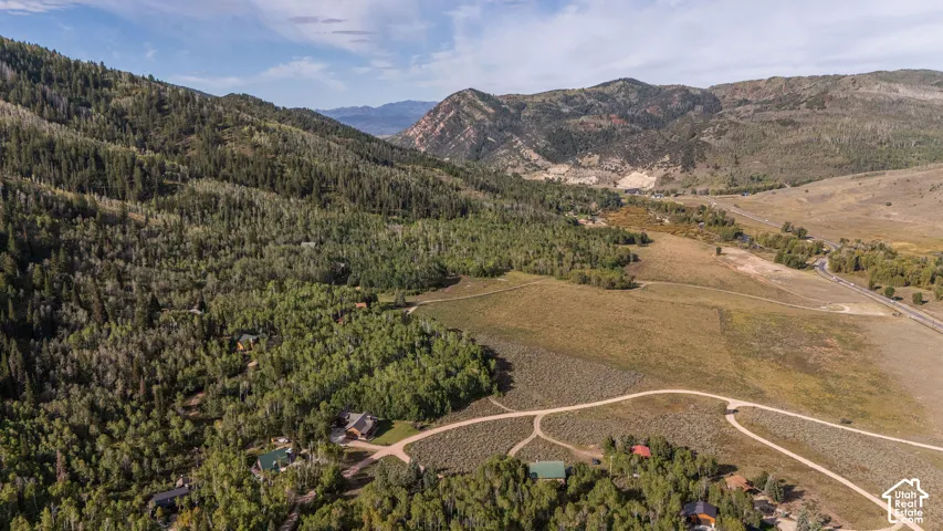 Mountainous terrain with dense forest, open fields, and distant structures
