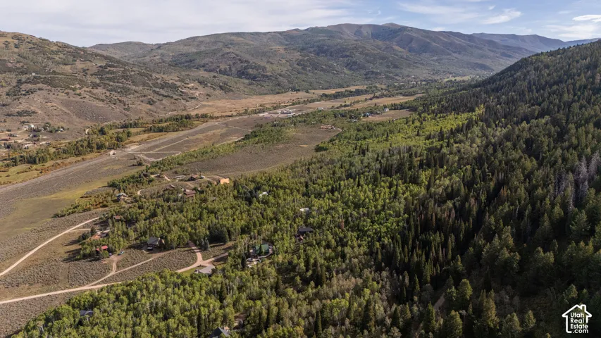 Expansive mountain terrain with varied tree coverage and visible residential structures