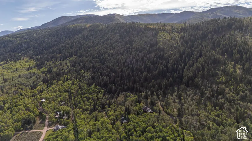 Expansive mountain landscape with diverse tree coverage, including evergreen forests and deciduous growth