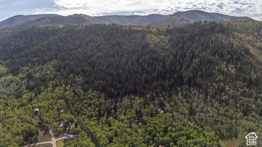 Expansive forested acreage showcasing dense coniferous and mixed timber stands, rolling terrain with mountain backdrop, and a winding driveway providing access through the natural landscape