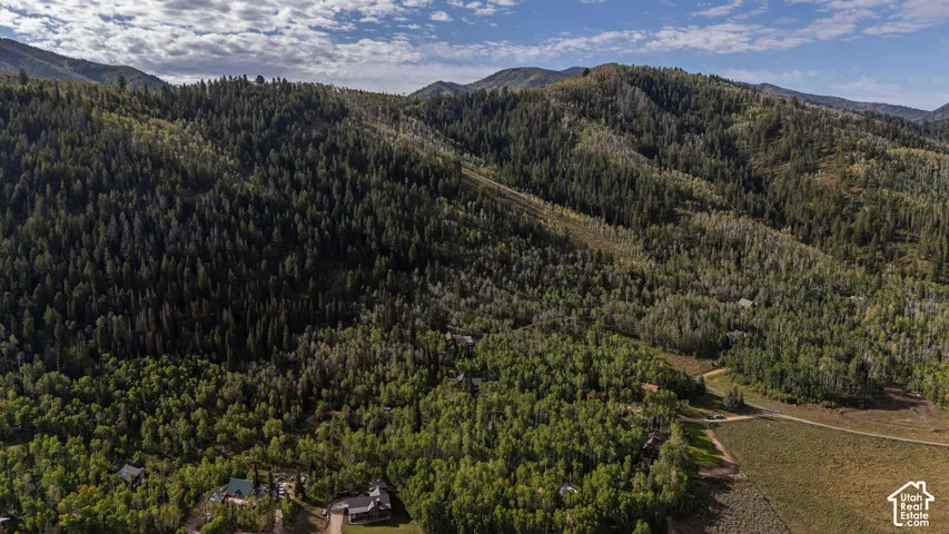 Mountainous terrain with dense forest coverage and scattered residential structures