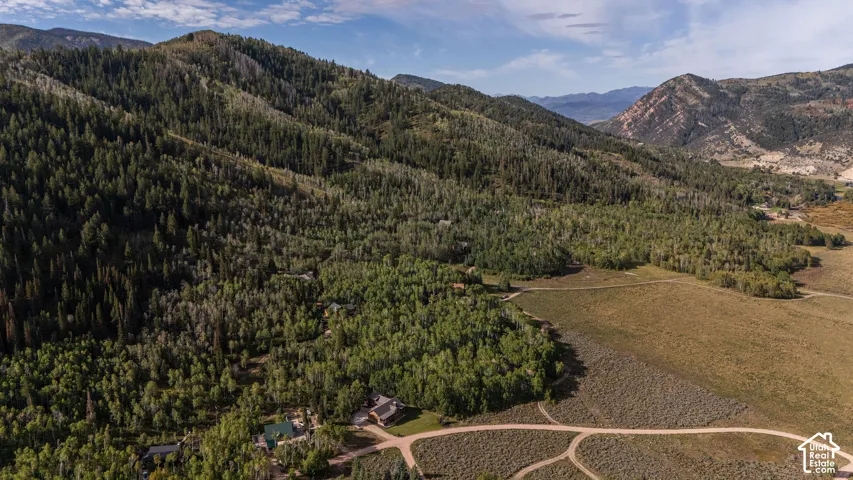 Expansive mountainous terrain featuring diverse tree coverage