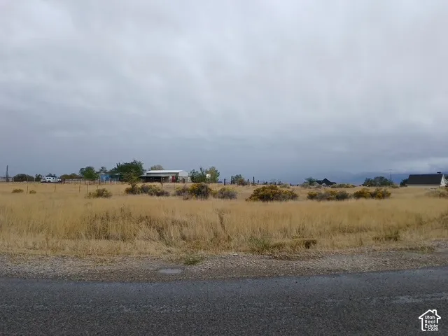 Expansive open land featuring natural grasses and distant structures
