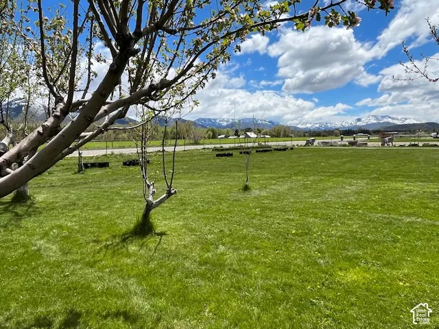 Expansive green lawn with scattered trees and a distant mountain backdrop