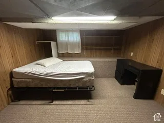Carpeted flooring, wood-panel walls, and a built-in elevated platform
