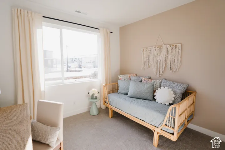 Large window with light-filtering curtains, carpeted flooring, and neutral wall tones