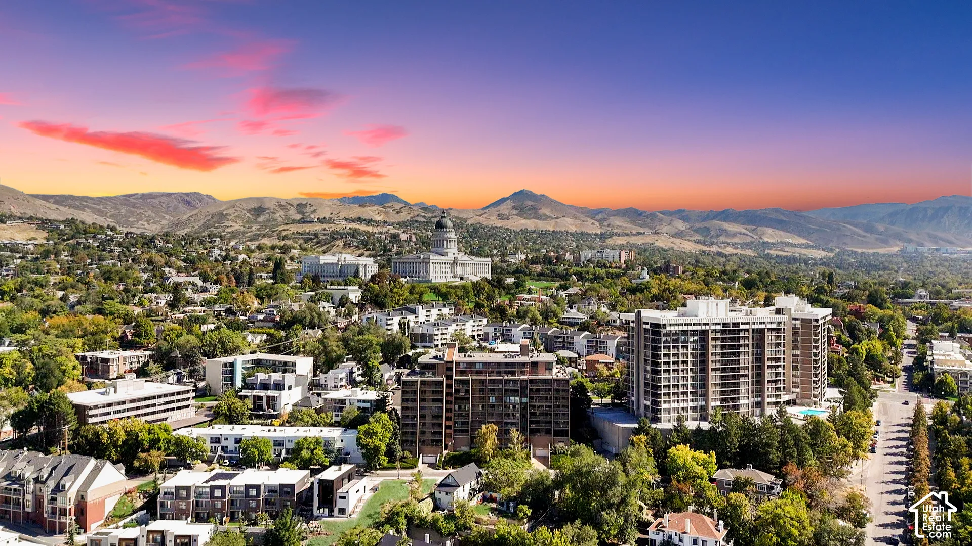 Expansive urban landscape featuring dense tree coverage