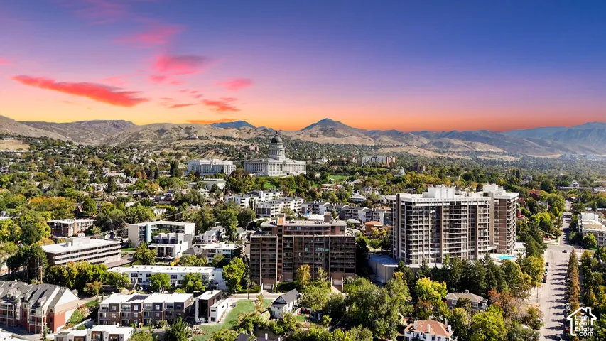 Expansive urban landscape featuring dense tree coverage