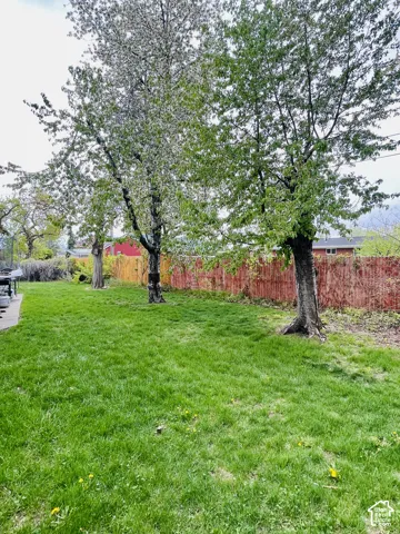 Expansive grassy yard featuring mature trees, a red privacy fence, and a paved patio area