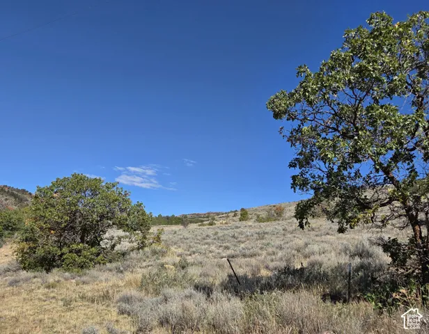 Sloping terrain with natural vegetation and mature trees