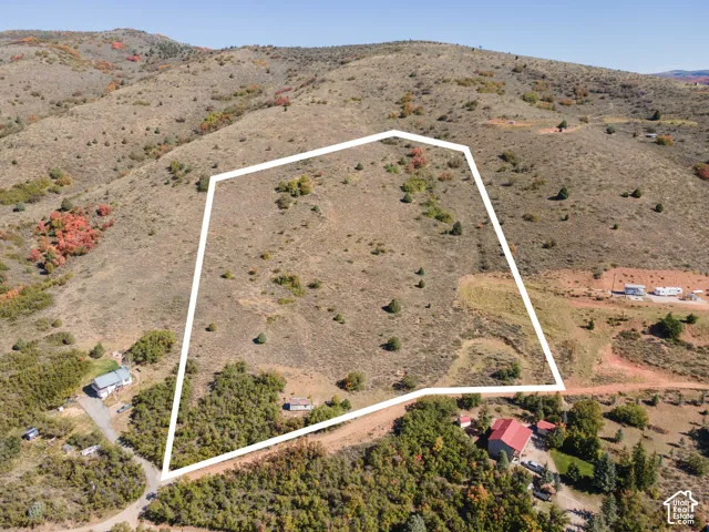 Expansive hillside lot with varied topography and natural vegetation