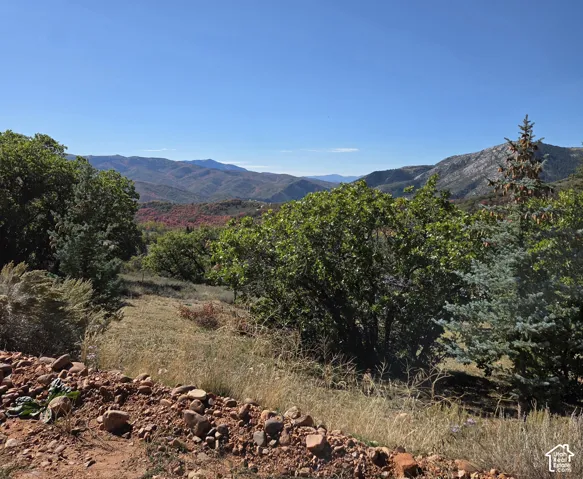 Expansive mountain terrain with a clear sky, featuring varied tree cover and natural ground cover