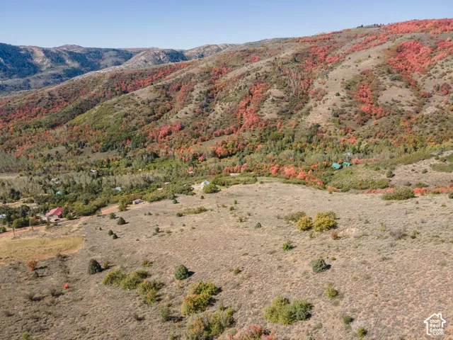 Expansive mountainous terrain featuring scattered trees and brush