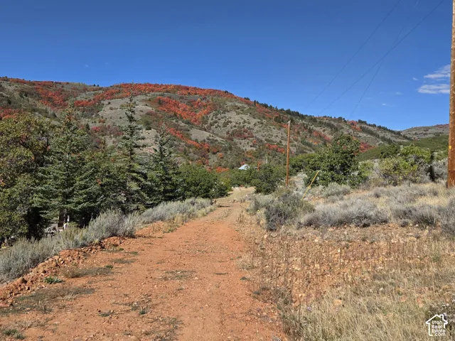 Undeveloped land featuring a natural dirt path, scattered evergreen trees, and distant mountainous terrain