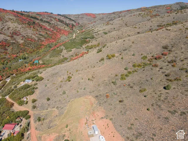 Expansive hillside terrain featuring scattered shrubbery and a winding dirt road