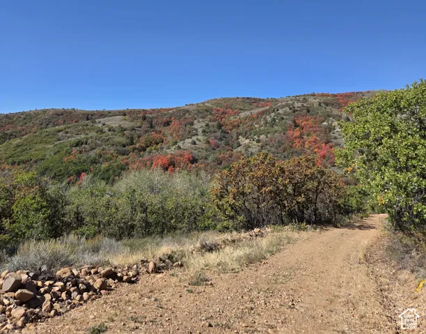 Expansive mountainous terrain featuring diverse foliage and a clear blue sky