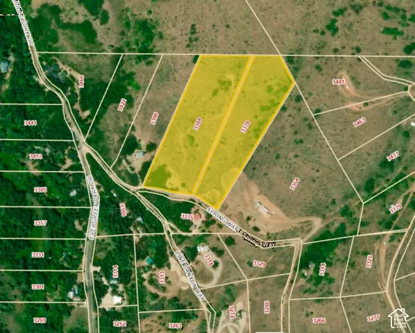 Plat Map. Illustrating the property's boundaries and surrounding parcels