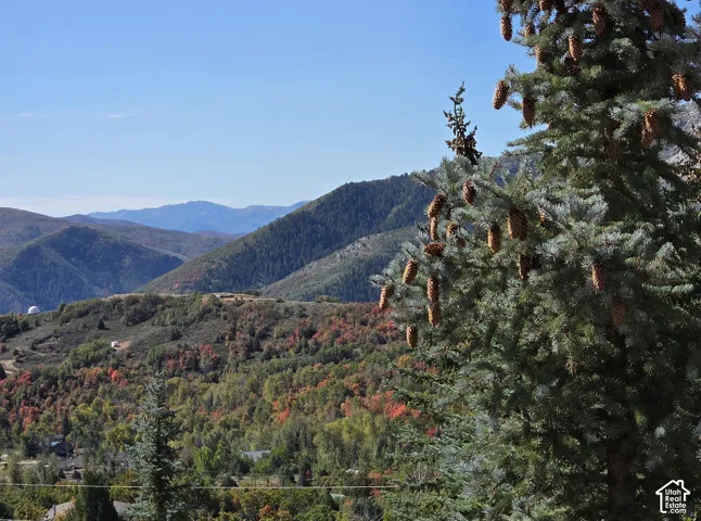 Expansive mountain backdrop with a forested landscape