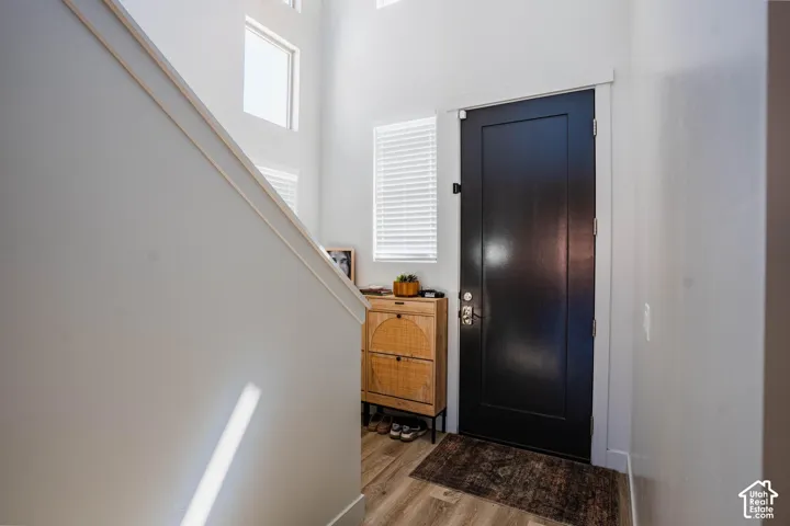 Entryway featuring a dark paneled door, wood-finish flooring, and white window blinds