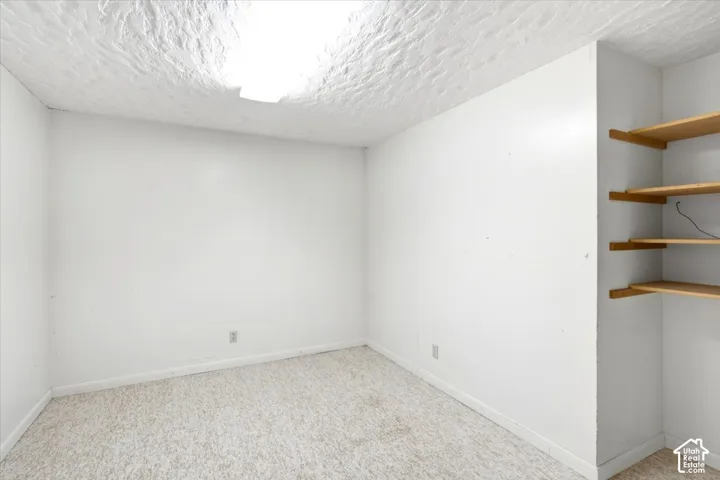 Recessed shelving with wood-finish shelves, textured ceiling, and flush-mount ceiling light