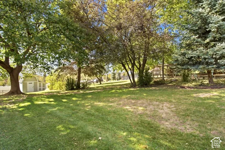 Expansive backyard featuring a manicured lawn, mature shade trees, evergreen trees, and a storage shed
