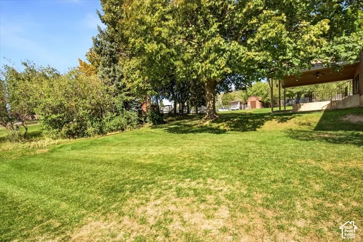 Expansive lawn with mature trees and a covered patio structure
