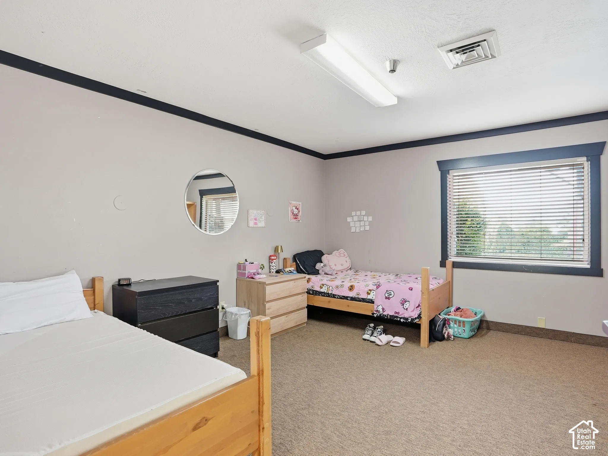Textured carpet flooring, window with blinds, and white ceiling with fluorescent lighting