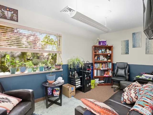 Dual-tone wall treatment, built-in shelving, carpet flooring, and a large window with blinds