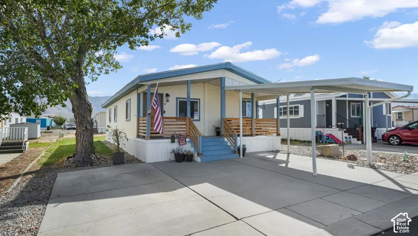 Paved driveway with carport, covered front porch, and mature tree