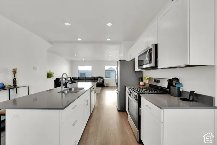 Kitchen featuring a large island with an undermount sink, stainless steel appliances, white cabinetry, and wood-finish flooring