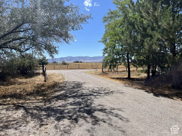 Gravel driveway framed by mature trees, leading to an open field with distant mountains