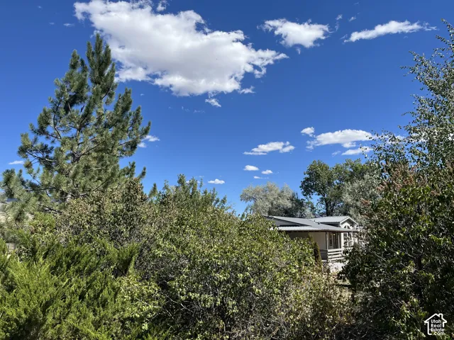 Lush, mature trees and foliage surround the property