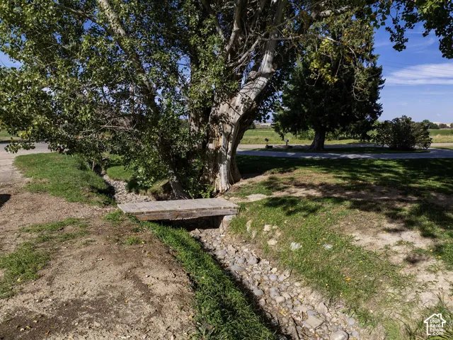 Natural landscape featuring mature trees, a dry creek bed with stone elements, a wooden footbridge, and maintained lawn areas