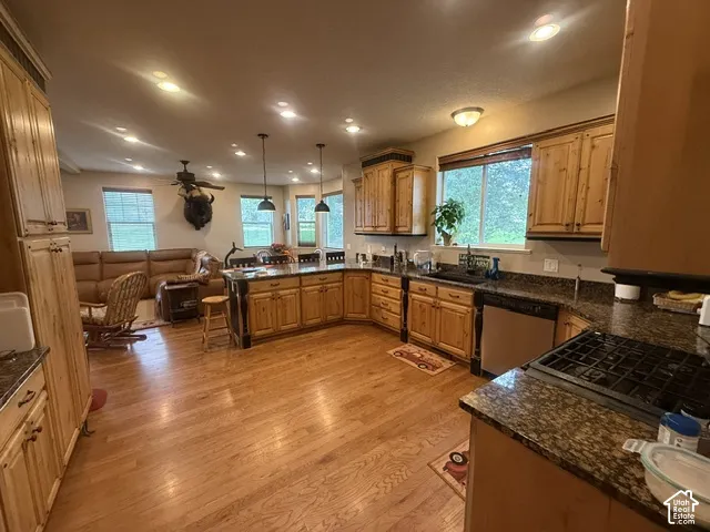 Spacious kitchen with wood-finish flooring, abundant wood cabinetry, dark speckled countertops, and stainless steel dishwasher