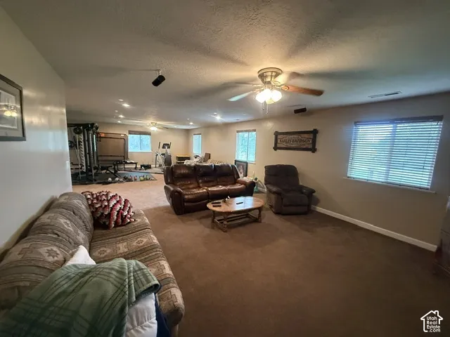 Expansive carpeted area with recessed lighting, multiple windows with blinds, and a ceiling fan