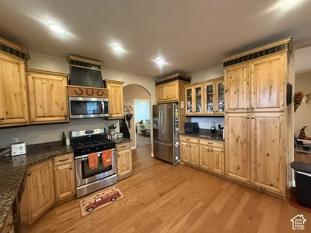 Wood-finish flooring, recessed lighting, wood cabinetry, stainless steel appliances, and granite-style countertops