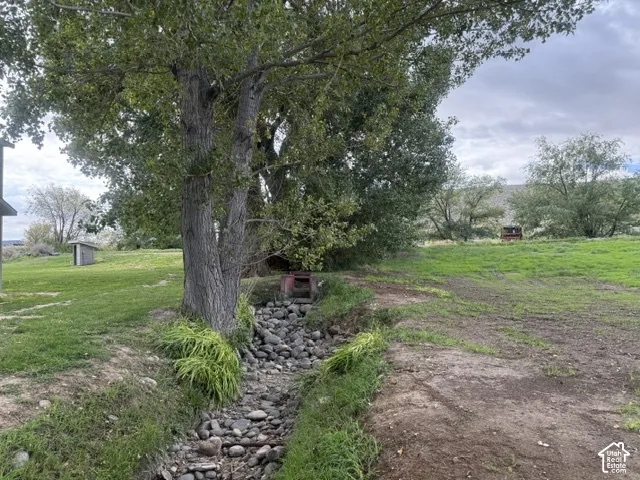 Expansive outdoor area featuring mature trees, a natural rock bed, and a detached shed